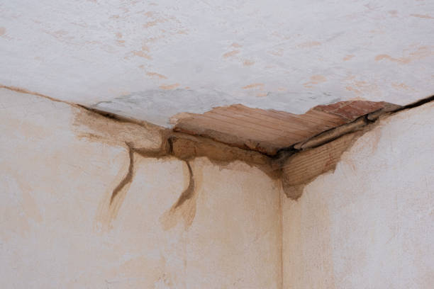 Best Fire Damage Restoration  in Dickson, TN