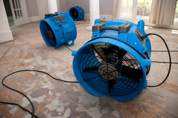 Best Residential water damage restoration  in Dickson, TN